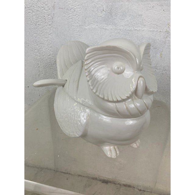 Vintage Ceramic Owl Tureen, Italian For Sale - Image 4 of 8