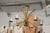 Vintage 6-Light Italian Bulrush Toleware Chandelier For Sale - Image 11 of 12