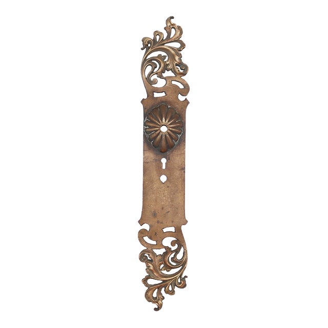 Antique 19 In. Art Nouveau Bronze Entry Door Back Plate For Sale