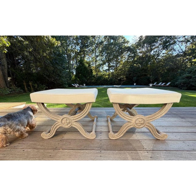 Custom French Grey Painted Neo-Classic X-Style Benches, a Pair For Sale - Image 9 of 14