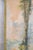 Large mid-20th century painting on canvas depicting a woodland landscape, characterized by tall trees and rich vegetation...