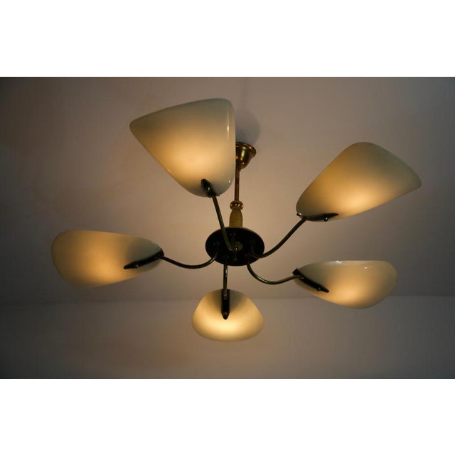 1950s Mid-Century Italian Brass 5-Arm Sputnik Chandelier, Germany, 1950s For Sale - Image 5 of 15