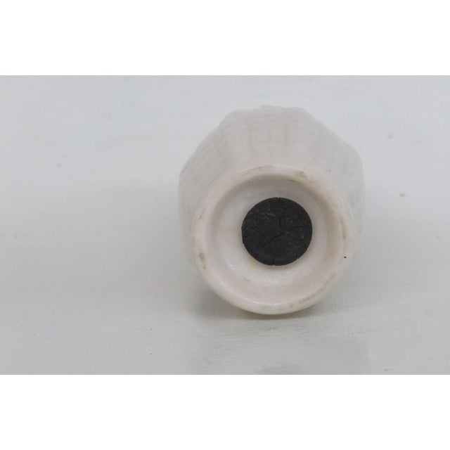 Belleek Pottery Ltd. Belleek Pottery Ireland Fine Porcelain Tridacna Cob Salt or Pepper Shaker 4935b For Sale - Image 4 of 10