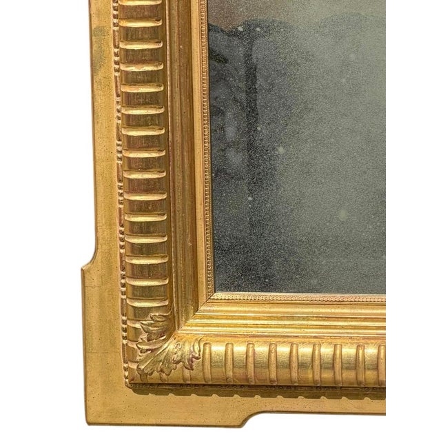Huge 90” Regency Style Jerry Solomon Giltwood Full Length Mirror