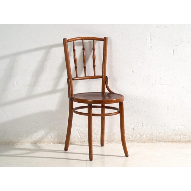 Bentwood Chairs in the style of Thonet, Central Europe, 1930, Set of 4 For Sale - Image 7 of 17