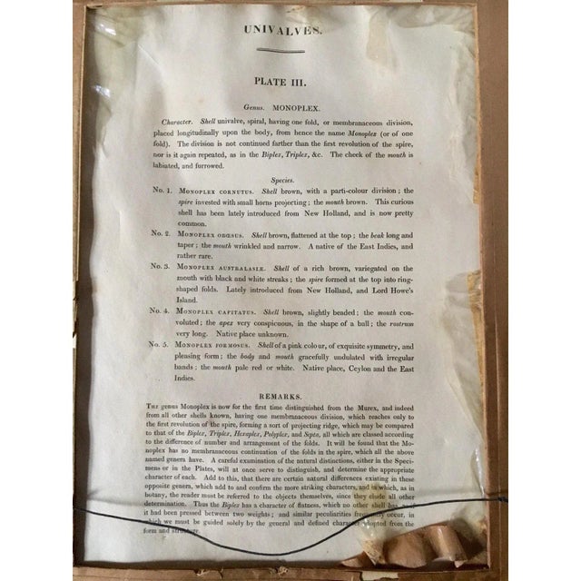 Wood 1810 Antique George Perry "Monoplex" English Engraved Aquatint Print For Sale - Image 7 of 8