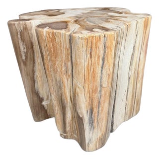 Andrianna Shamaris Impressive High Quality Ancient Petrified Wood Side Table For Sale