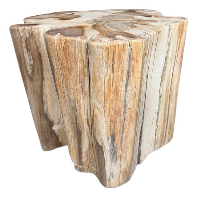 Andrianna Shamaris Impressive High Quality Ancient Petrified Wood Side Table For Sale