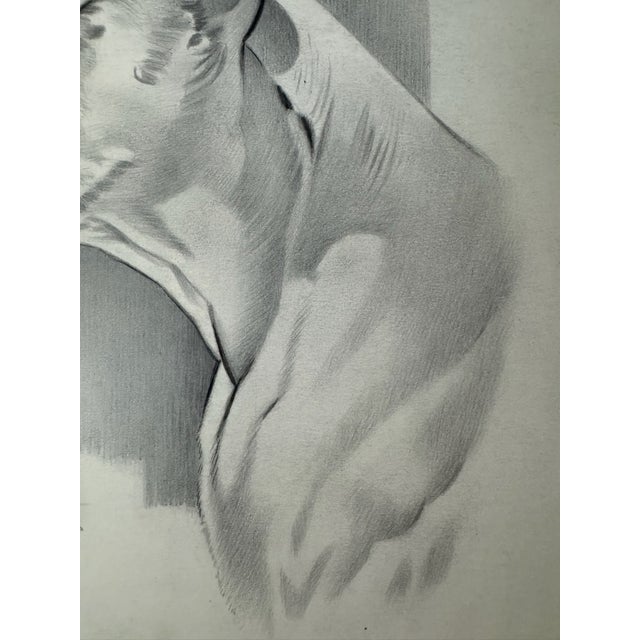 Illustration 1940s Original Signed Graphite Illustration of Boxer Dog Portrait, 11 × 9 In. For Sale - Image 3 of 6