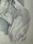 Illustration 1940s Original Signed Graphite Illustration of Boxer Dog Portrait, 11 × 9 In. For Sale - Image 3 of 6