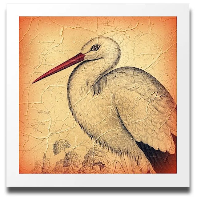 Vintage Stork Archival Print For Sale - Image 4 of 4