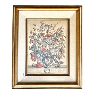 Robert Furber “12 Months of Flowers, July” Vintage Print, Gold Wood Frame For Sale
