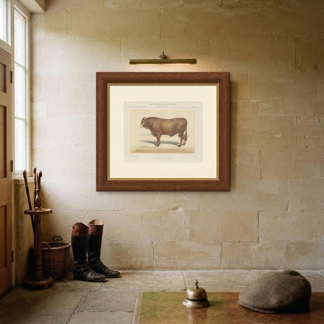 Paper Borie, Limousin Bull, French Cattle Breed, 1863, Chromolithograph For Sale - Image 7 of 9