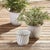 Made of a durable metal, glazed and baked at 300 degrees, so they are able to withstand the elements in the extreme. With...