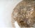 Minimalism Large Ammonite Fossil Specimen For Sale - Image 3 of 8