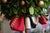 MacKenzie-Childs Courtly Check Holiday Boxwood Topiary Trees With Gold Accents — A Pair For Sale - Image 9 of 18