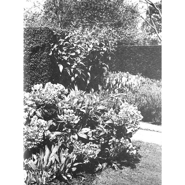 Paper "Flowers in History" 1970 Coats, Peter For Sale - Image 7 of 12