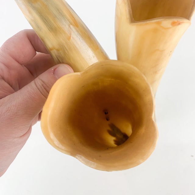 Vintage Buffed Polished Cow Ox Horns Wall Plant Hanging Pocket Western Ranch For Sale In Baltimore - Image 6 of 9