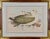 Three Gould Hand-Colored Lithographs From Birds of Australia and New Zealand, 1840-1848 For Sale - Image 10 of 12