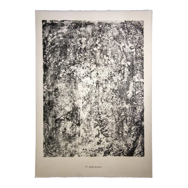 Jardin de terre is an original B/W Lithograph realized by the French founder of Art Brut, Jean Dubuffet Very good...