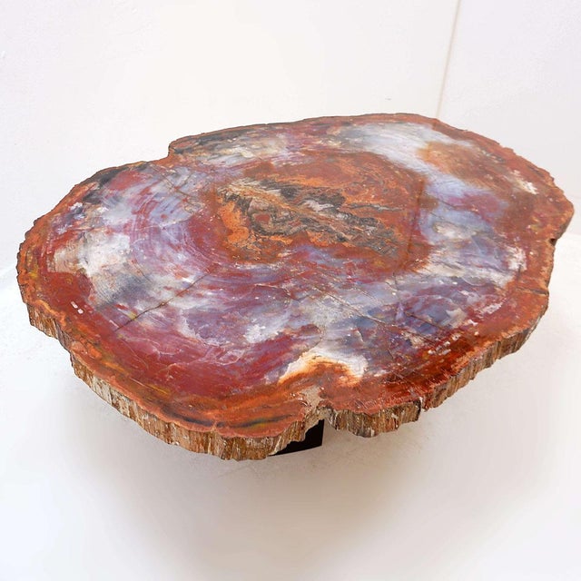 Red Arizona Petrified Wood Coffee Table For Sale - Image 12 of 16