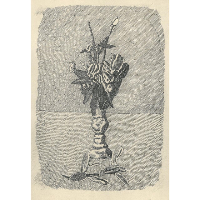 Giorgio Morandi, Roses in Bud in a Vase, 1931-1957, Lithograph For Sale - Image 3 of 7