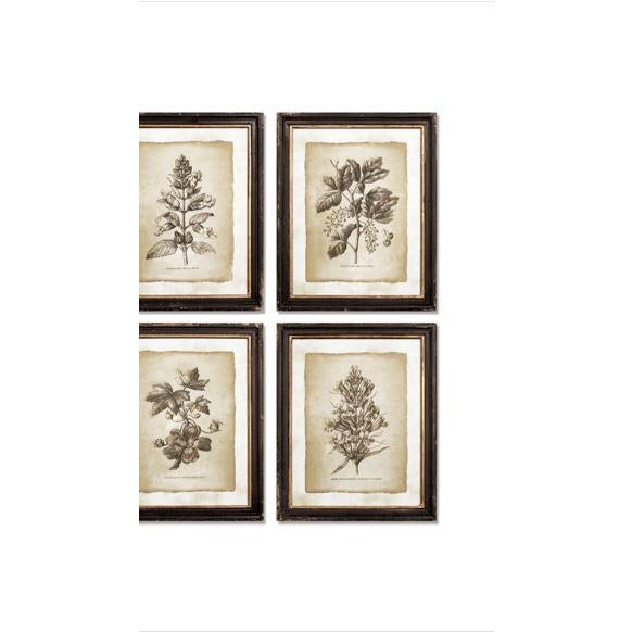 The dark, rich tones of these highly detailed illustrations creates a handsome, formal look. The distressed black and gold...