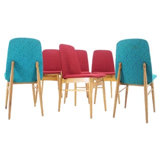 Ash Dining Chairs, Czechoslovakia, 1960s, Set of 6 For Sale
