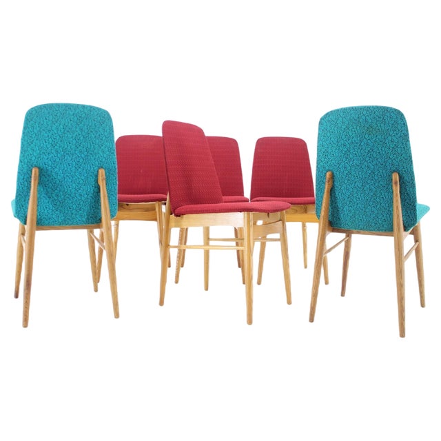 Ash Dining Chairs, Czechoslovakia, 1960s, Set of 6 For Sale