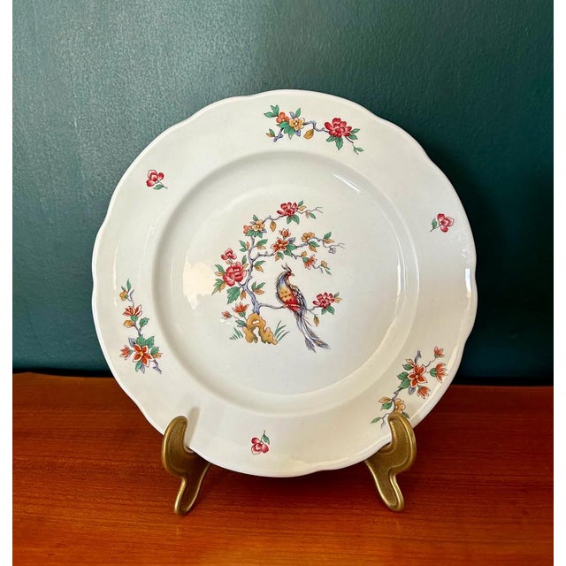 Red French Dinner Plates with Peacock Pattern / Iron Earth / Ironstone from Sarreguemines, 1900s, Set of 6 For Sale - Image 8 of 8