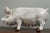 Terra Cotta Terra Cotta Tin Glazed Pig With Glass Eyes For Sale - Image 8 of 10