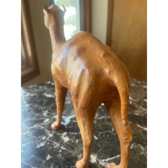 Leather Camel For Sale - Image 6 of 6