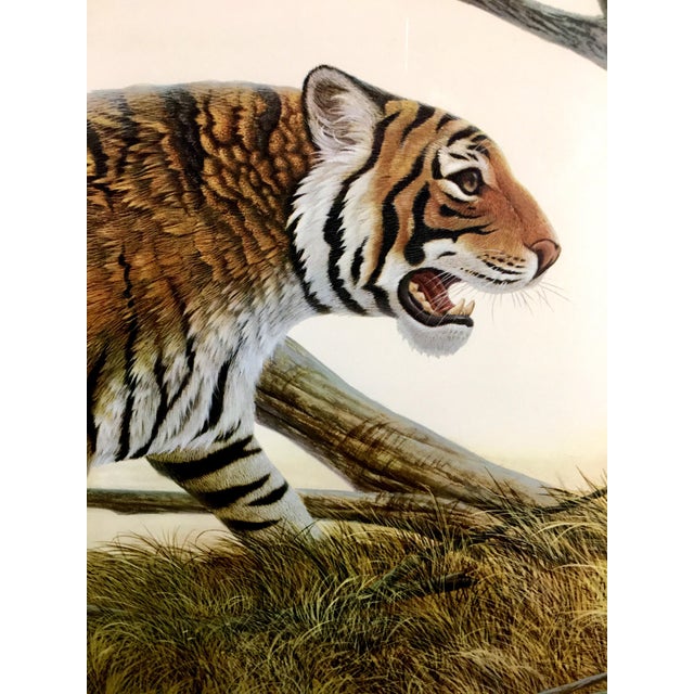 1975 John Ruthven Bengal Tiger Art Lithograph, Signed/Numbered, Custom