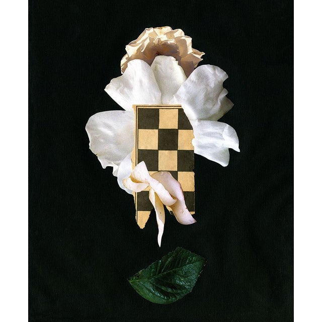 "Nocturne No 1" Surrealist Collage by Molly Frances For Sale