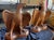 Impressive pair of large vintage glazed terra cotta Federal eagle sculptures, each standing approximately 23” tall. These...