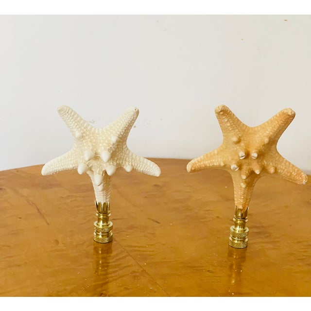 Organic modern pair of natural sea stars lamp finials.