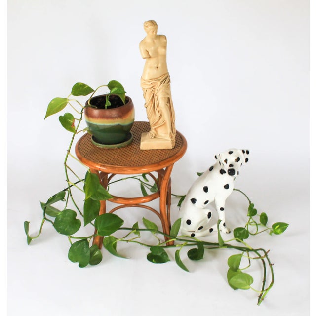 Brown Mid-Century Rattan & Cane Side or End Table For Sale - Image 8 of 12