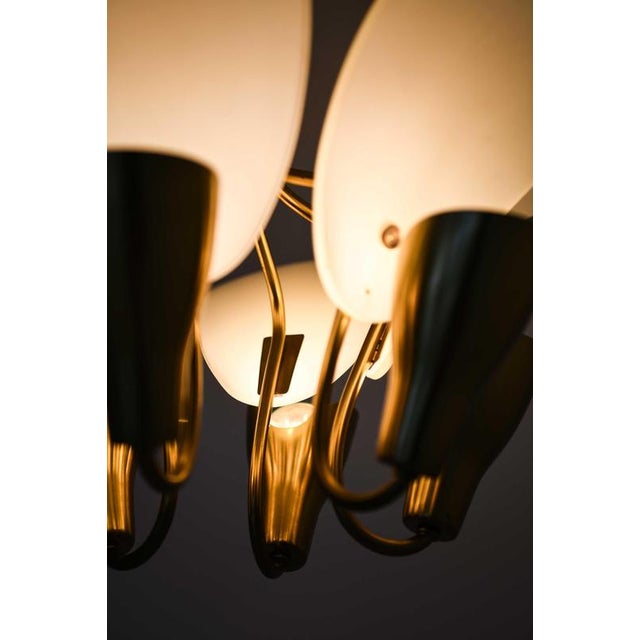 Scandinavian Ceiling Lamp in Opaline Glass and Brass by Carl Fagerlund, 1950s For Sale - Image 9 of 13