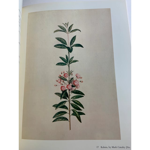 1980 Flowers in Books and Drawings Book For Sale - Image 4 of 13