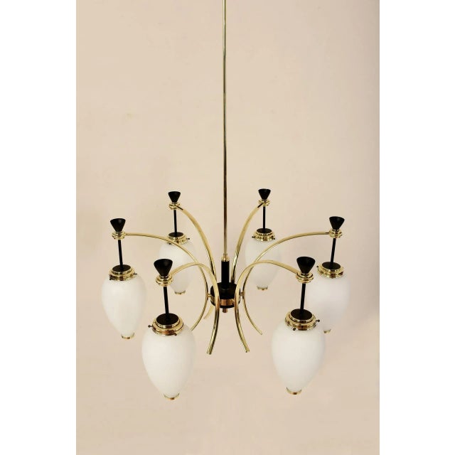 6-Light Chandelier by Bruno Gatta for Stilnovo, 1950s For Sale - Image 11 of 14