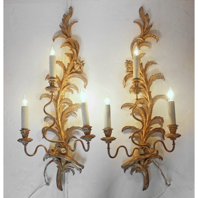 Mid-20th century Pair of Gilt Wood Wall Sconces, probably Italian. A fine example, hand-carved & gilded. Triple light....