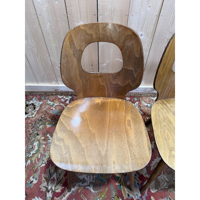 1950s Vintage Baumann Eye Model Chairs in Wood, 1950s, Set of 4 For Sale - Image 5 of 13