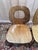 1950s Vintage Baumann Eye Model Chairs in Wood, 1950s, Set of 4 For Sale - Image 5 of 13