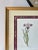 Vintage Botanical Iris Print, Framed For Sale - Image 4 of 7
