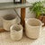 Early 21st Century Rivergrass Round Baskets With Handles, Set Of 3 For Sale - Image 5 of 6