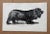 Up for sale is this charming antique dog print from a veterinary guide published in the 1890s and illustrating breed...