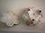 White Capodimonte Vintage Bernini Footed Porcelain Bowl Gilded With Cherubs For Sale - Image 8 of 9