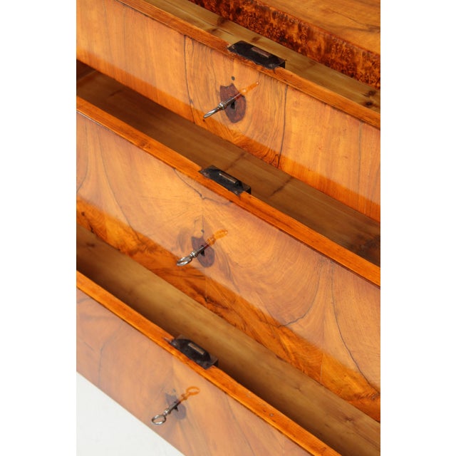 Early 19th Century Biedermeier Chest of Drawers, 1820s For Sale - Image 5 of 14