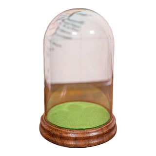 Small Antique Display Dome, English, Glass, Specimen Showcase, Edwardian, c.1910 For Sale