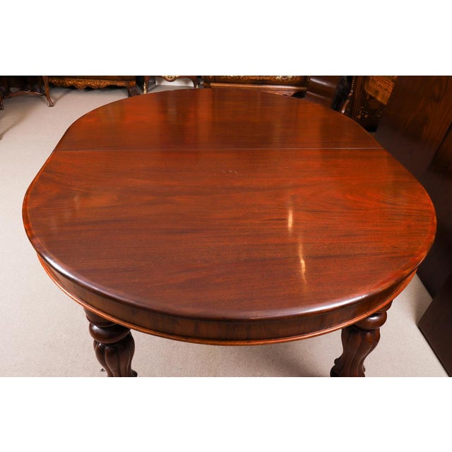 Antique Extendable Dining Table and Balloon Back Chairs in Mahogany, 1800s, Set of 17 For Sale - Image 11 of 18